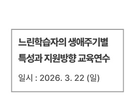느린학습자의 생애주기별 특성과 지원방향 교육연수