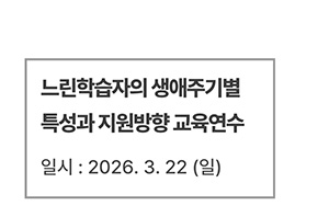 느린학습자의 생애주기별 특성과 지원방향 교육연수